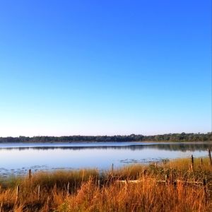 Meet your Posher, Sofie.